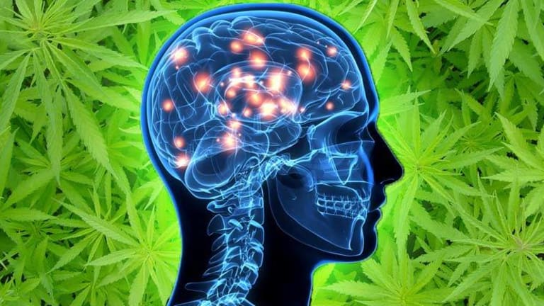 New Study Shows Cannabis to be an Effective Treatment for the 6th Leading Cause of Death in US