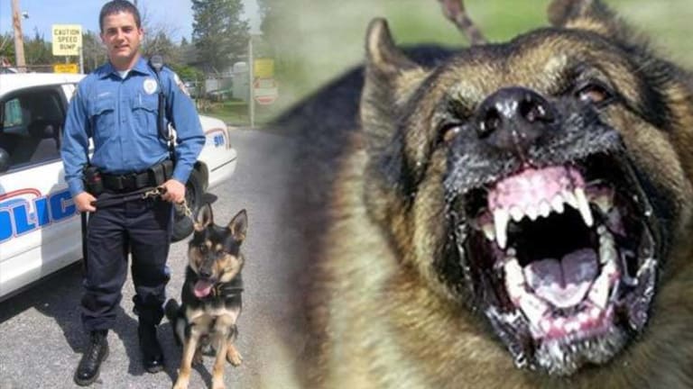 Sadistic Cop Forces K9 to Maul 59-Year-Old Woman Who Was In Custody - Then He Covered it Up