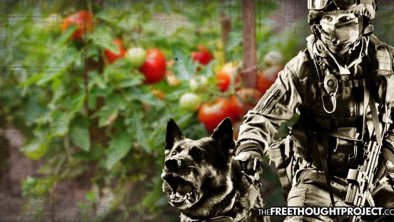 Heavily Militarized SWAT Raids Innocent Family for Growing Tomatoes—Taxpayers Held Liable
