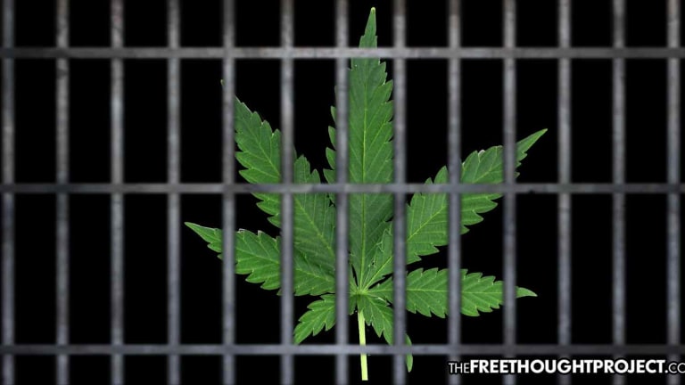 Dozens Serving Life in Prison for Weed, as Cops Get No Jail for Kidnapping, Raping Teen