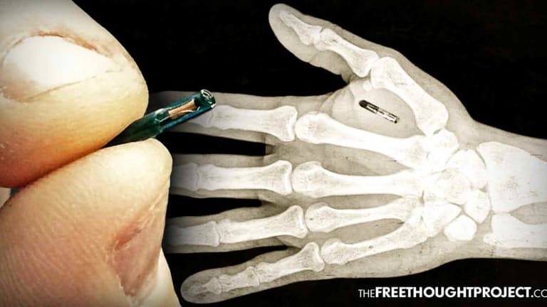 Lawmaker Proposes Implanting Microchips in People to Track Non-Violent Offenders Like "Pets"