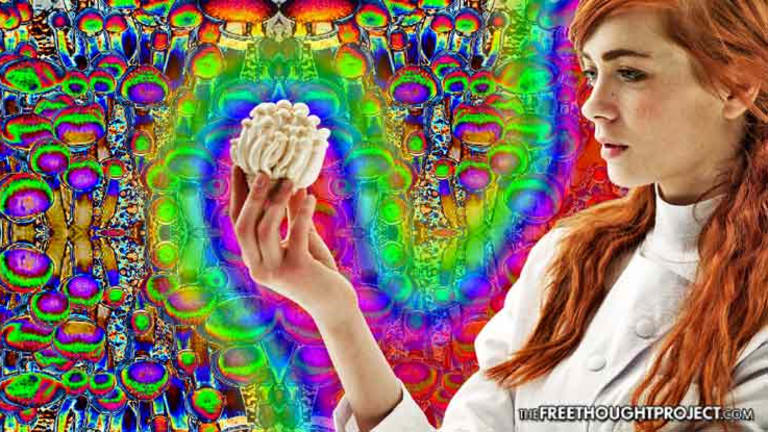 Mainstream Media Just Admitted Magic Mushrooms are Safest Recreational Drug
