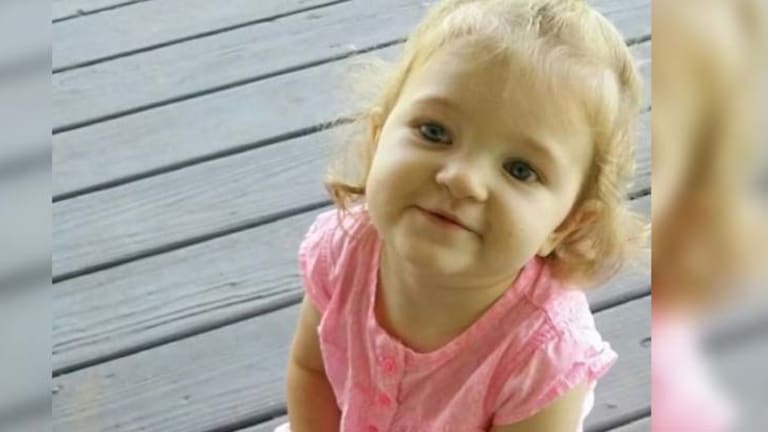 3yo Girl Dies After Being Left in Back of Patrol Car for Hours -- Cops Given Paid Vacation