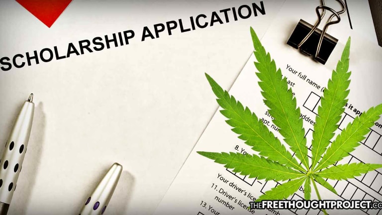 For the First Time in History, State University Now Offers Cannabis Scholarship
