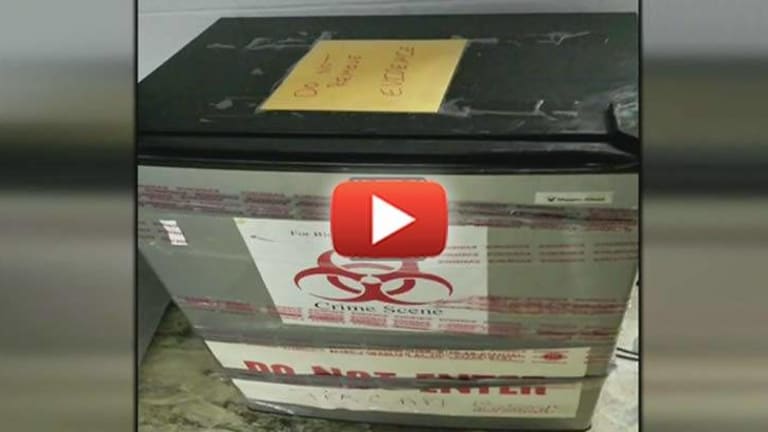 Freezer Full of Human Fetuses Discovered at Florida Police Station Sparks Outrage and Concern