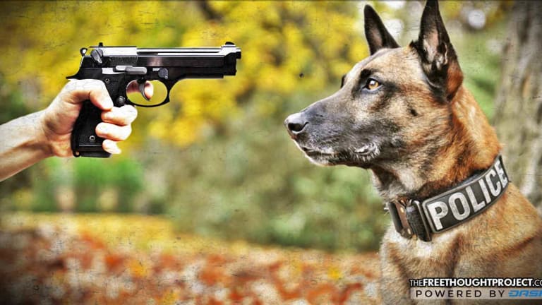 Illinois Police Just Claimed if Marijuana is Legalized, They'll Have to Kill Their Police Dogs