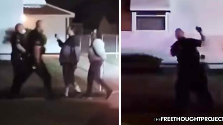 Another Protest Sparked As Video Shows Cops Beating a Woman for Filming