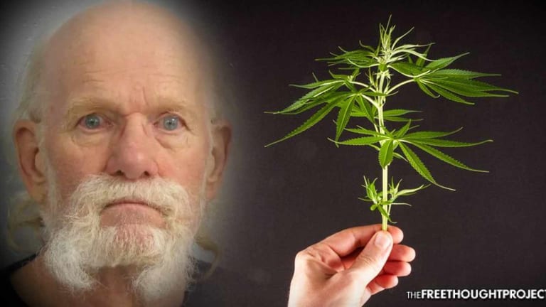 Because Police Broke the Law, a 77yo Man Will Likely Die in Prison for Growing Pot Plants