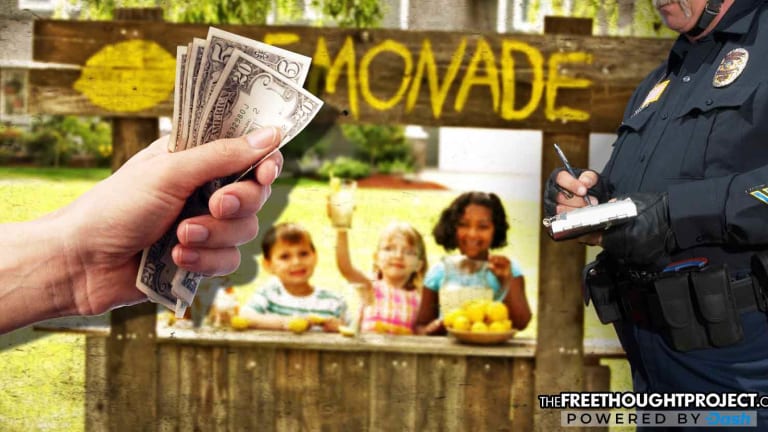 Lemonade Co. Fights Police State, Pledges to Pay Fines for Kids Busted for 'Illegal Lemonade Stands'