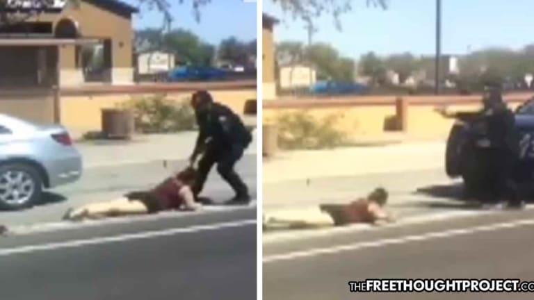WATCH: Cop Pulls Gun, Drags Woman from Car, Punches Her in the Face Over Suspended License