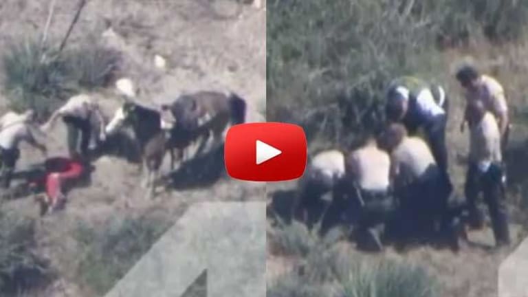 Police Chase Involving Man on Horse Ends With Vicious Unjustified Beating