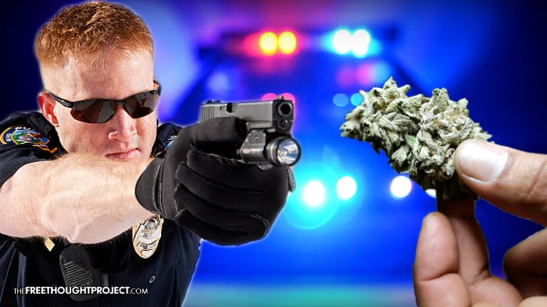 'Appalling': 3 Cops Terminated After Forcing Man to Eat Marijuana During Traffic Stop