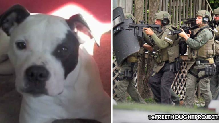 Family Gets $750k After SWAT Raided Their Home, Killed Their Dog—Over Unpaid Utility Bill