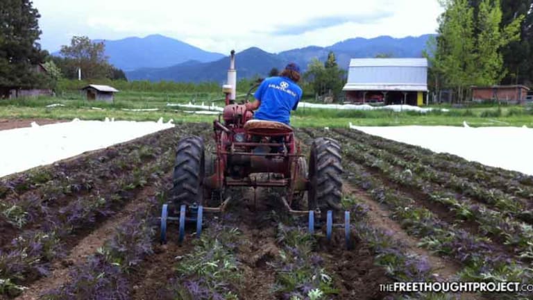 Farmer Charged, Fined $2.8 Million, for Plowing His Own Property in the 'Land of the Free'