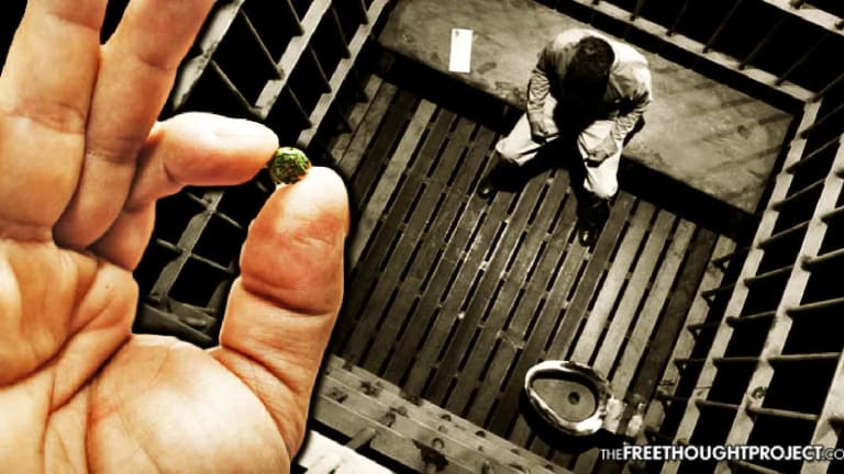 1 Year Per Gram: Man Gets Insane 18 Year Prison Sentence for Weed, Judge Furious