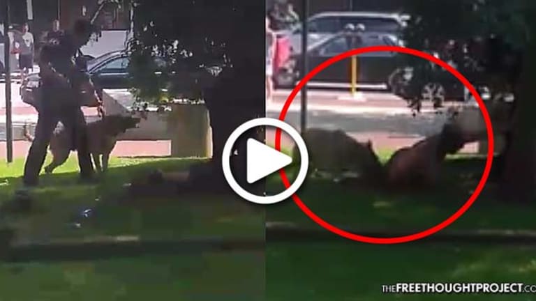Disturbing Video Shows Cop Force K9 to Maul Man for Several Minutes—For Napping in a Park