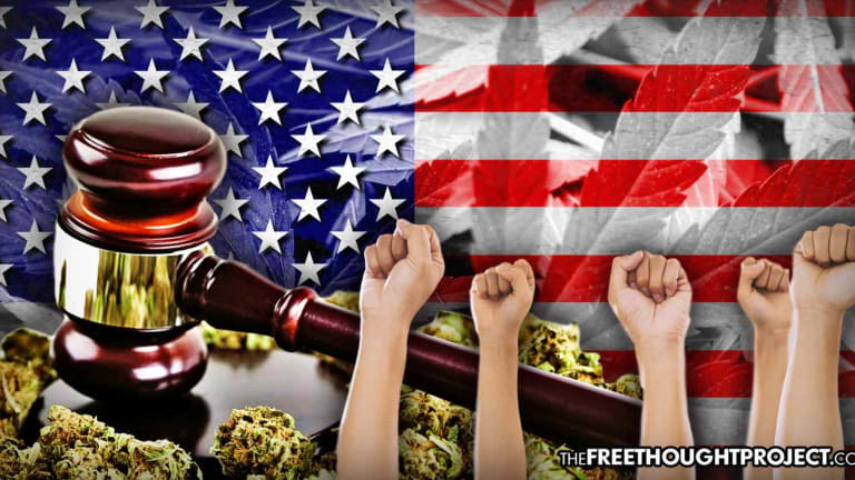 BREAKING: Congress Passes Historical Bill to Decriminalize Cannabis at the Federal Level