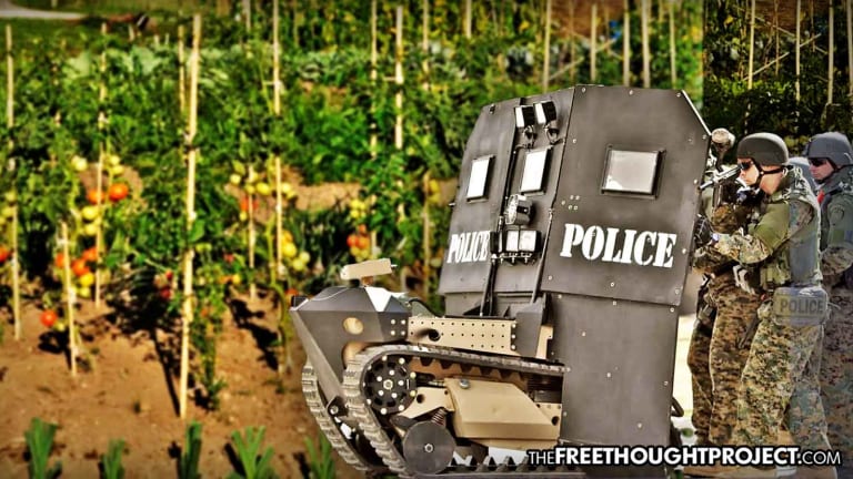Taxpayers to Be Held Liable After SWAT Raids Innocent Family Over Growing Tomato Plants