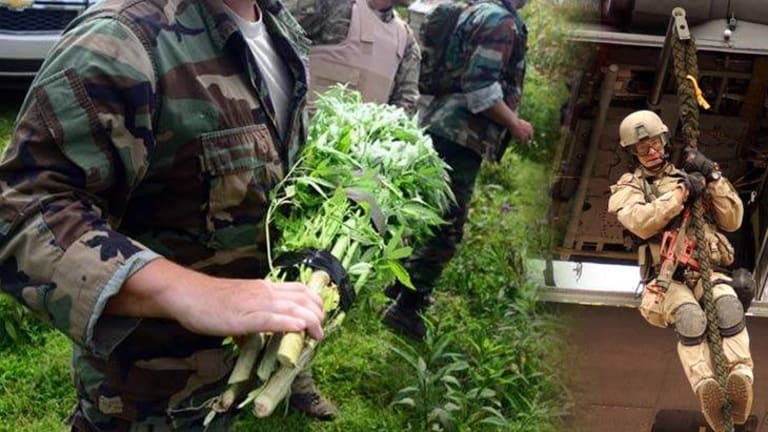 BREAKING: Indiana Police Call in the US Military and Raid 146 "Dangerous" Marijuana Plots