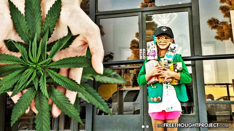 Genius Girl Scout Sells Cookies Outside Marijuana Dispensary and MAKES BANK
