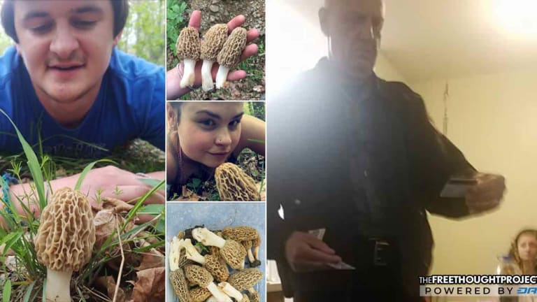 Innocent Couple Raided by Cops for Facebook Post of LEGAL Morel Mushrooms