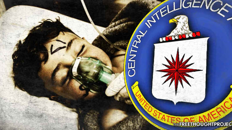 Ex-CIA Agent: The Official Story of Syria Govt "Gassing Innocent Civilians is a Sham"