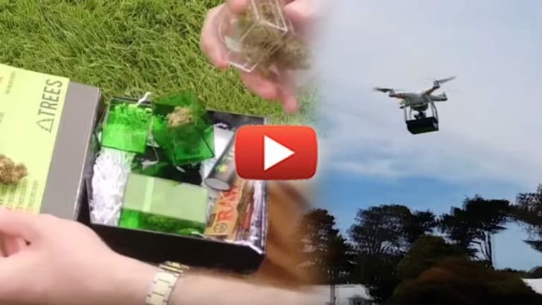 Pot from Above: San Francisco Entrepreneurs to Deliver Weed By Drone Using Bitcoin