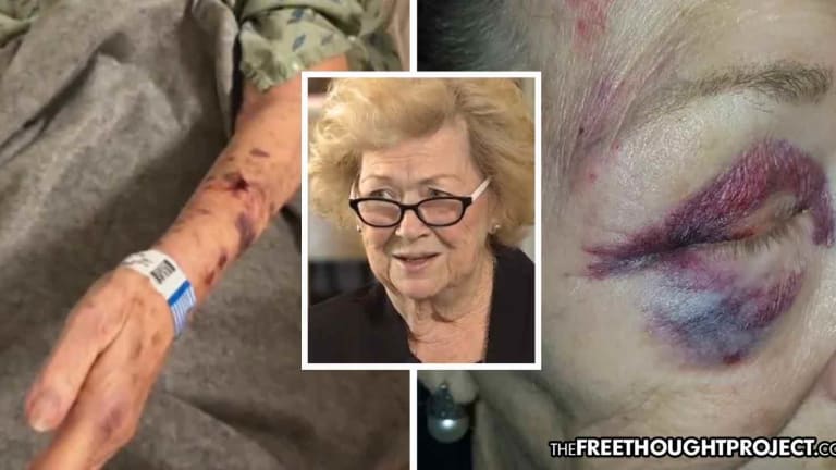 WATCH: Innocent 84yo Grandmother Sues After Cops Attack Her on Video and Lie to Cover It Up
