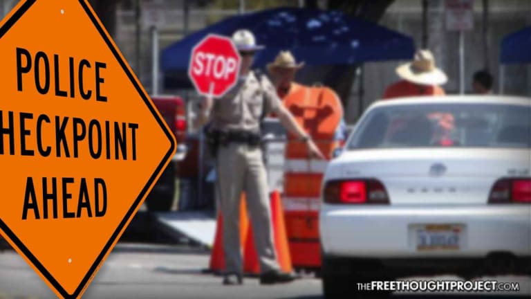 WATCH: Cops Running 'Smog Checkpoints', Stopping Motorists to Check Their Emissions
