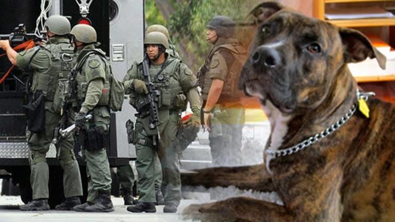 Family Raided by SWAT and their Dog Shot, for Being Unable to Pay Utility Bill