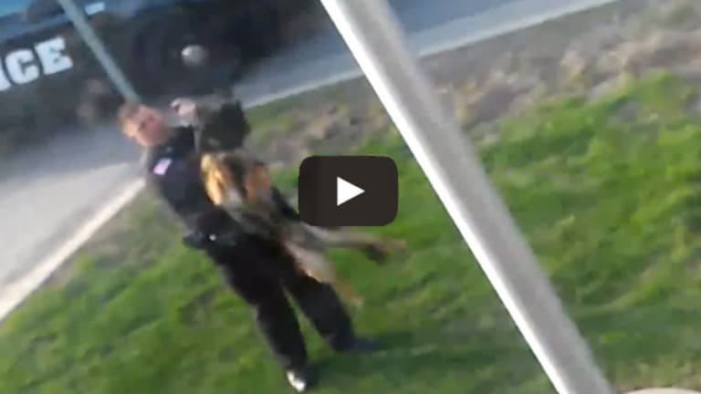 If Cops Treat Their Own Dogs Like This, It is No Wonder They Shoot Everyone Else's