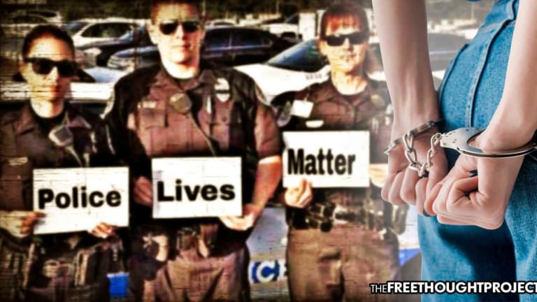 NY Lawmakers Grant 'Protected Class' Status to Cops, They Can Now Sue People for 'Harassment'