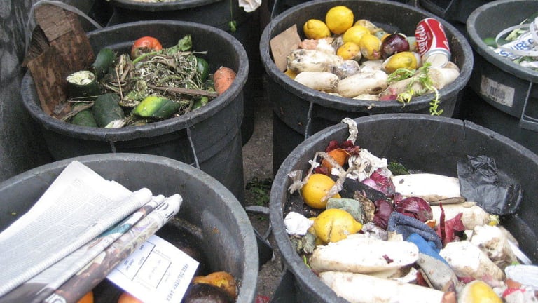Trash Police: Seattle Outlaws Throwing Food in the Garbage
