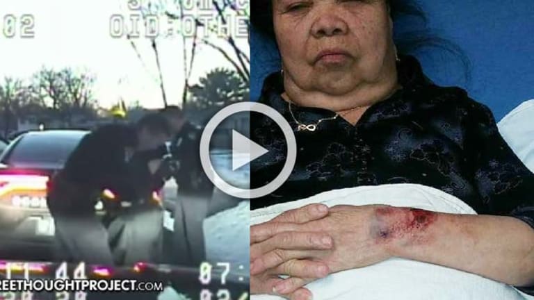 VIDEO: Cops Sic K9 on 81-Year-Old Grandma They Accused of Robbing Her Own House