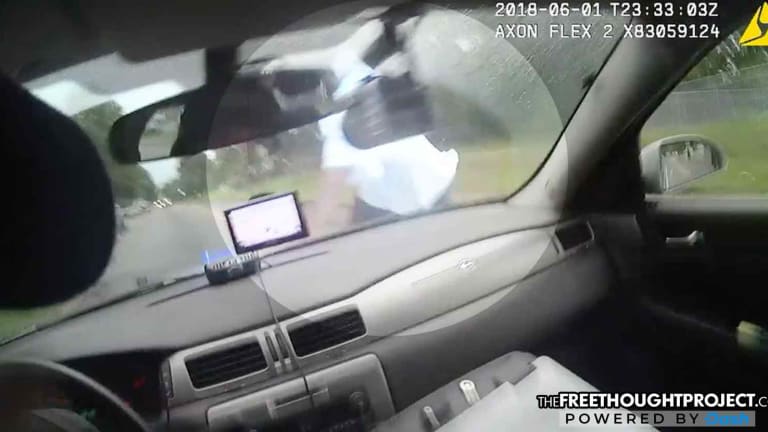 WATCH: Cop Fired After Chase That Ended With Him Mowing Down Unarmed Man With Cruiser