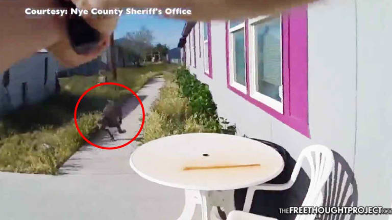 WATCH: Cop Enters Fenced-In Yard, Kills Family Dog, Lies About it Attacking Him