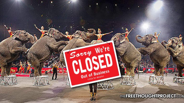 BREAKING: Ringling Bros. Circus to Close After 146 Years and Numerous Allegations of Abuse & Neglect