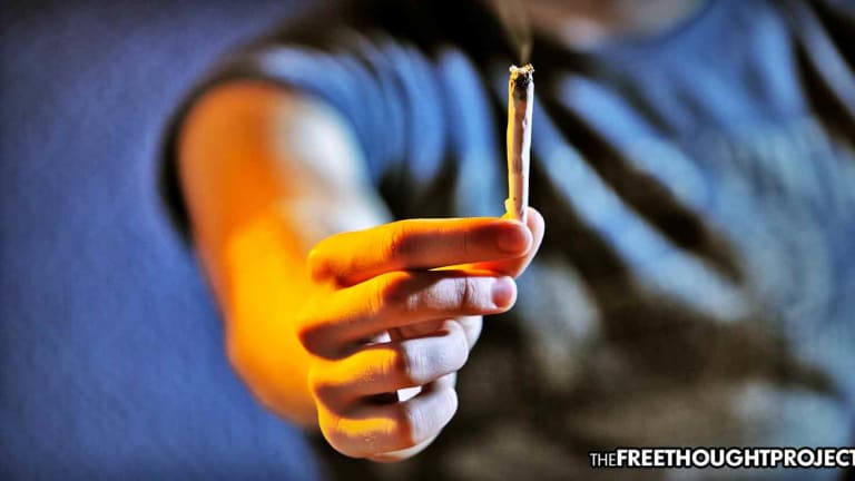 Why You Should Care About the Number of People Who Overdosed on Cannabis in 2020