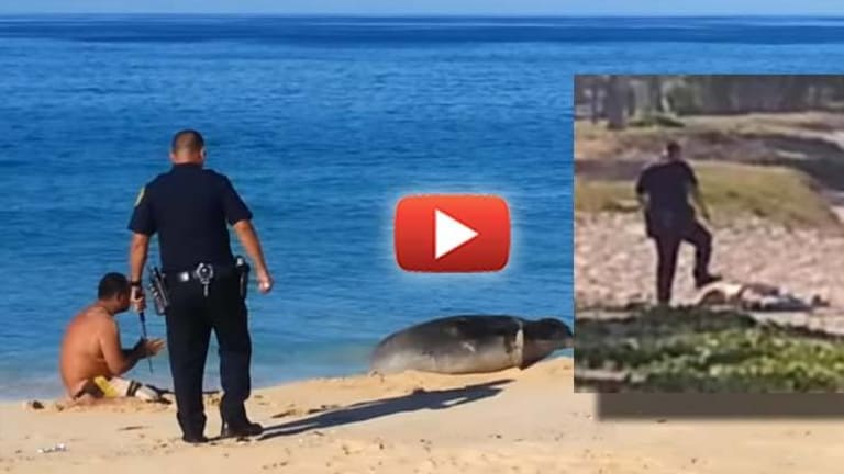 Video Shows Non-violent Native Man Severely Beaten by Crazed Cop for Praying by a Seal