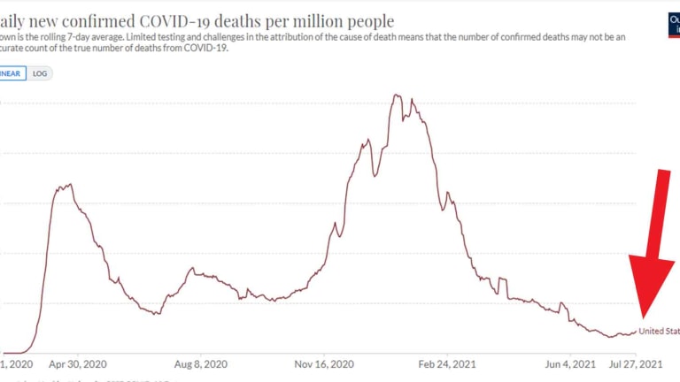 Harvard, Stanford Professors Explain: Despite Media Panic, US COVID Deaths Lowest Since March 2020