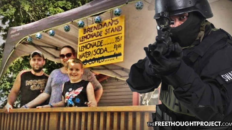 Health Dept Shuts Down 7-Year-old's Lemonade Stand to Protect Society from Unlicensed Lemonade