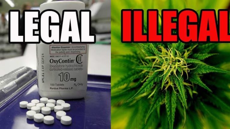 Same Govt that Locks People in Jail for Cannabis, Just Approved OxyContin for Young Children