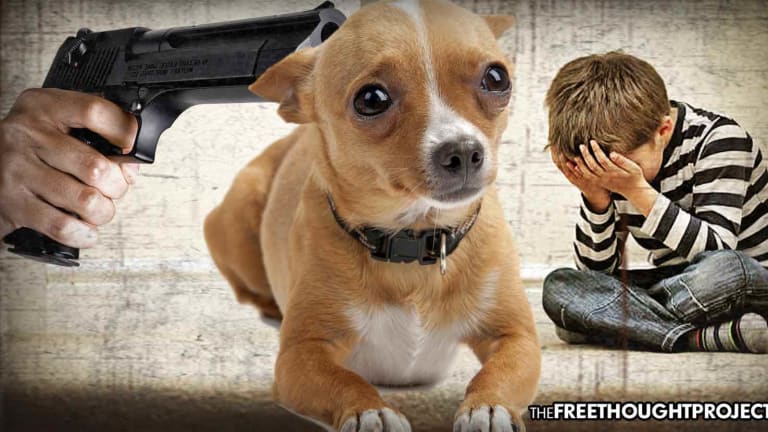 While Trying to Kill a Family's Dog, Cop Shoots 11-year-old Boy Instead