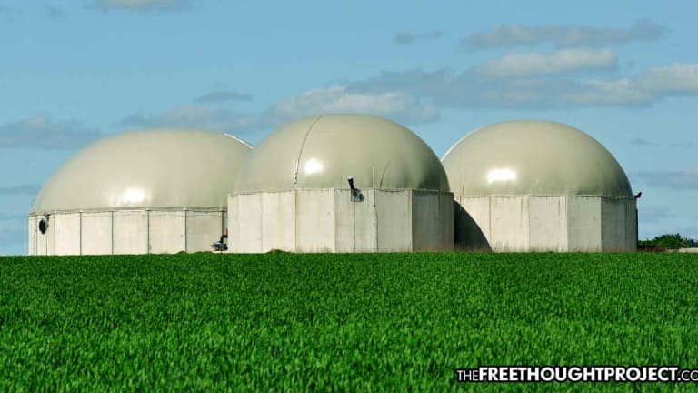 Farmers Are Turning Food Waste into Electricity and Making Enough to Power Entire Cities