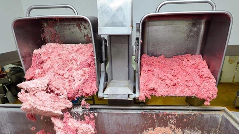 Consumer Reports Study Finds that Nearly All Ground Beef Sold in America Has Feces in It