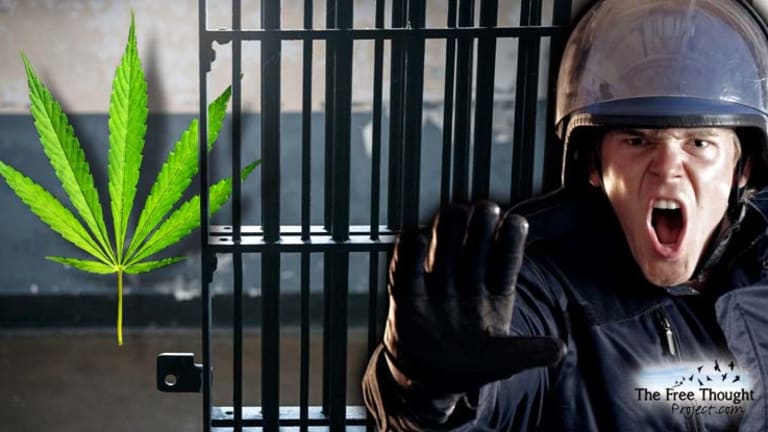 State Crafts Radical Bill to Free Pot Users from Jail After Vote for Legal Weed — Cops are Furious