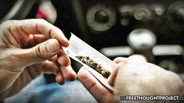 Despite Gov't Fear Mongering, Arizona Sees DUIs Drop After Cannabis Legalization