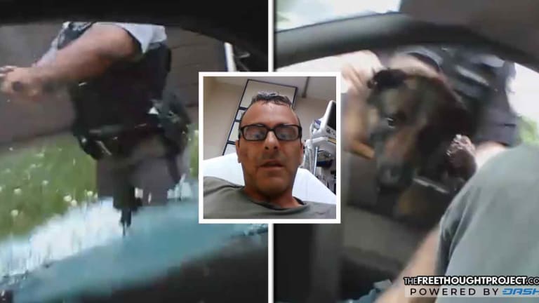 WATCH: USMC Vet Pulled from Car, Mauled by K9 Over Stop for Missing Front License Plate