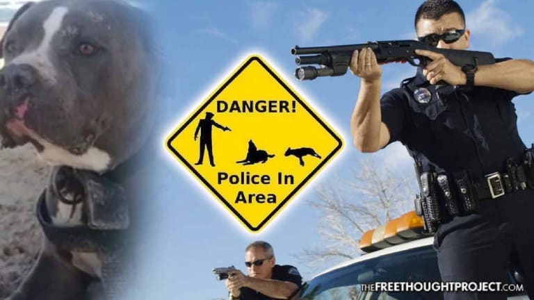 Cop Ignores 'Beware of Dog' Signs, Enters Yard, Kills Family Dog — Over a Parking Spot