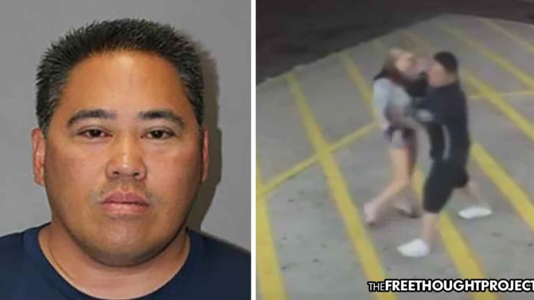 Dept Protected Woman-Beating Cop, Covered Up His Crimes Caught on Video—Taxpayers Held Liable